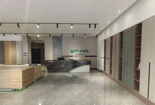千年舟江西新余建材家居探店 賦予家的高品質生活