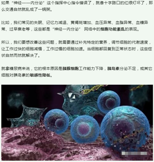 干細(xì)胞 人體健康的基石與未來醫(yī)學(xué)的引擎